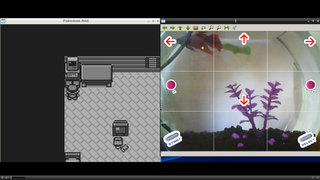 A Real Fish Appears To Be Playing Pokémon Right Now